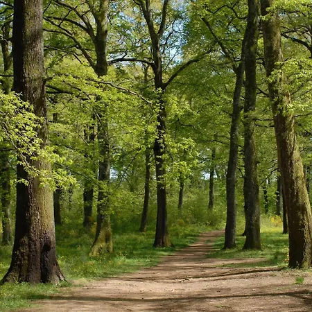 La Terrazza Sul Borgo Di Quadroni Manziana